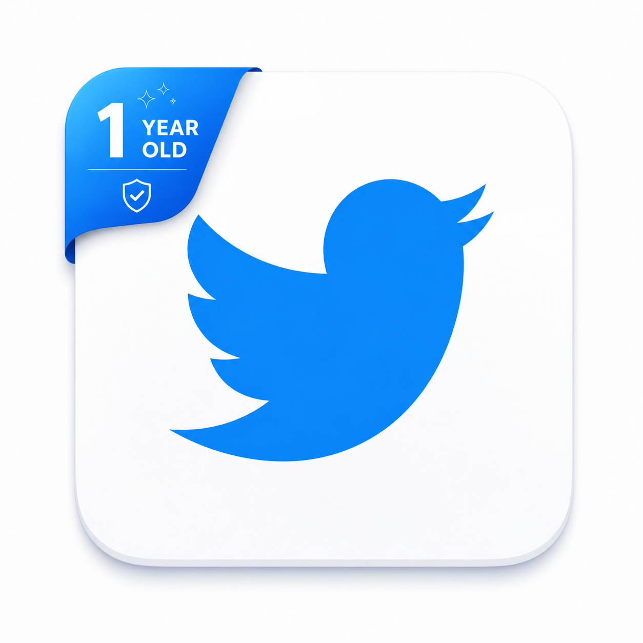 Product illustration: 1-Year Aged Twitter (X) Accounts
