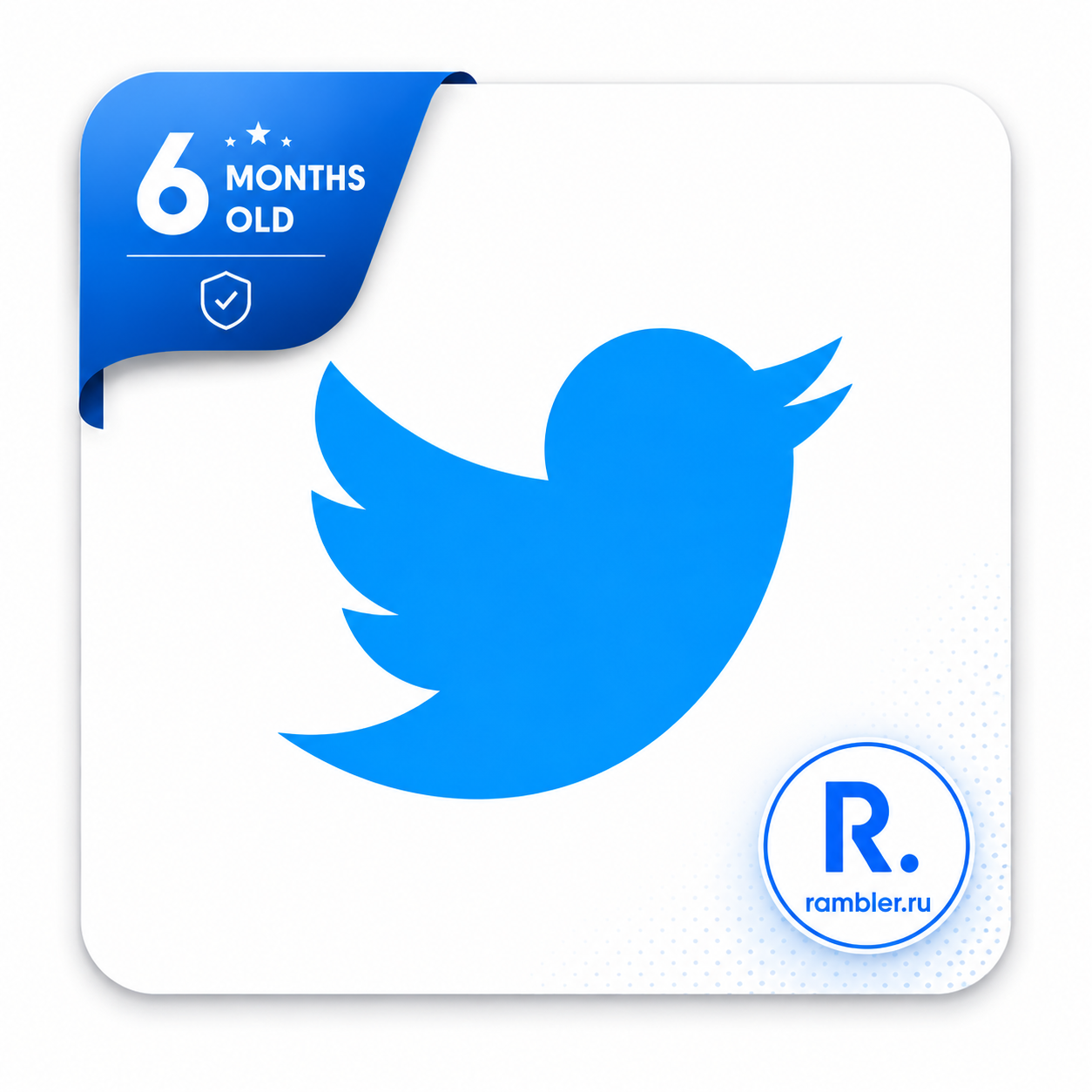 Product illustration: 6-Month Aged Android Twitter (X) Accounts